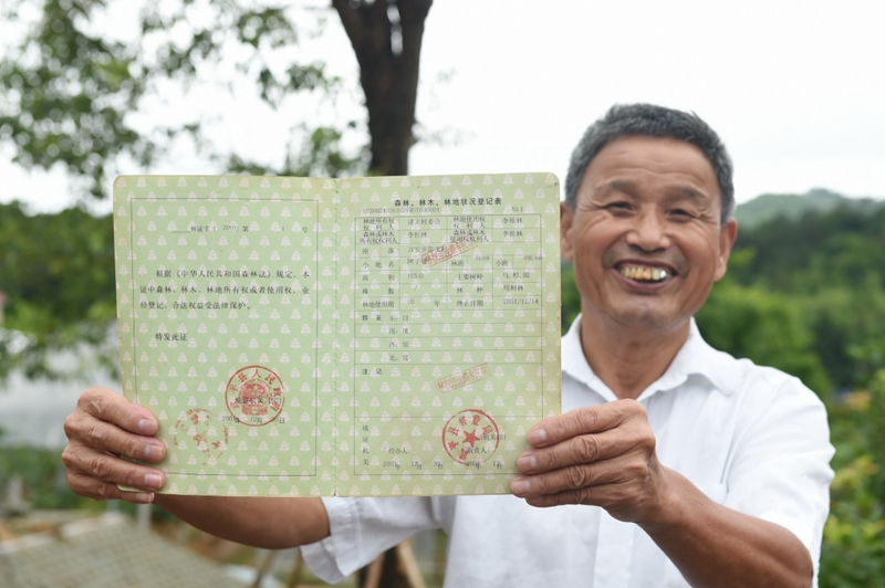 2017年6月13日，福建武平縣萬安鎮(zhèn)捷文村村民李桂林展示林權改革后領到的全國第一本新式林權證。
