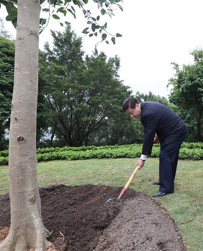 2012年12月7日至11日，習近平在廣東省考察工作。這是8日上午，習近平在深圳蓮花山公園種下一棵高山榕樹。新華社記者 蘭紅光 攝