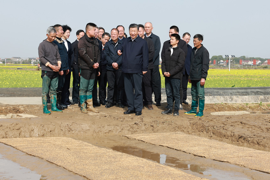 2024年3月18日至21日，中共中央總書記、國家主席、中央軍委主席習近平在湖南考察。這是19日下午，習近平在常德市鼎城區謝家鋪鎮港中坪村走進田間，察看秧苗培育和春耕備耕進展。新華社記者 王曄 攝